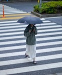 日傘 折りたたみ傘 折り畳み 軽量 晴雨兼用 ...の詳細画像2