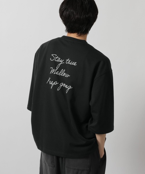 LAKOLE（ラコレ） tシャツ フロッキーロゴクロップドT / /665057