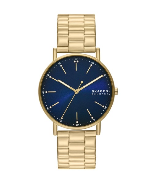 SKAGEN（スカーゲン） 腕時計 腕時計 メンズ アナログ ステンレス 