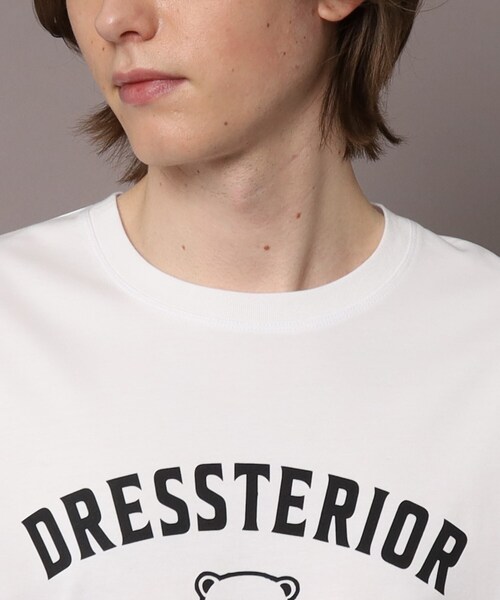「DRESSTERIOR」 半袖Tシャツ 92 ライトグレー メンズ_画像5