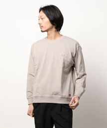 送料無料 メンズ トレーナー スウェット ロンT ワッペン C444 Dickies トレーナー スウェット 「DICKIES/ディッキーズ」ミニ