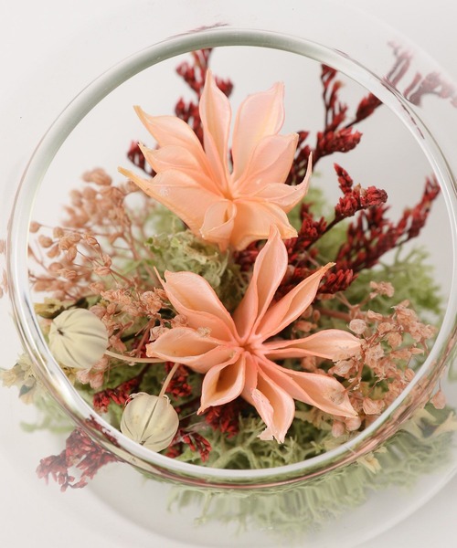 LAKOLE（ラコレ） インテリア プリザーブドフラワー / 327866