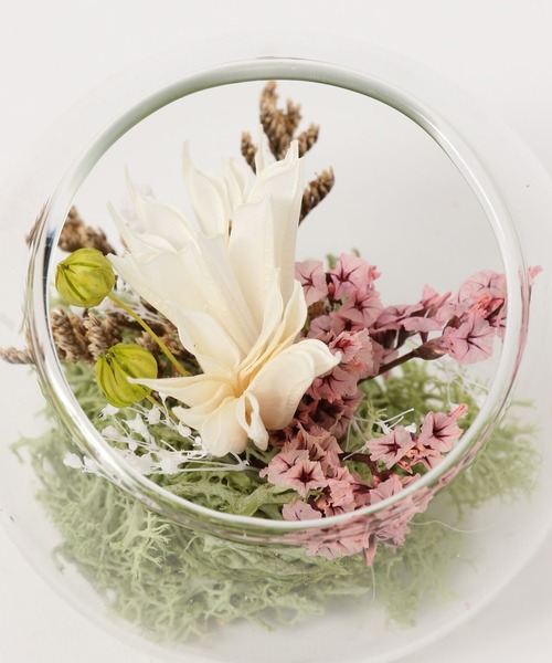 LAKOLE（ラコレ） インテリア プリザーブドフラワー / 327866