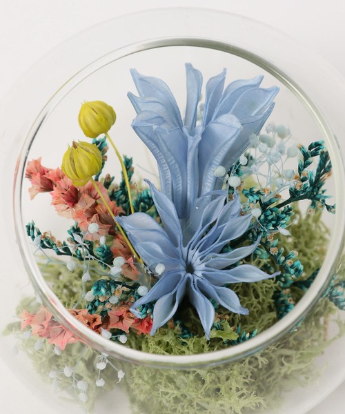 LAKOLE（ラコレ） インテリア プリザーブドフラワー / 327866