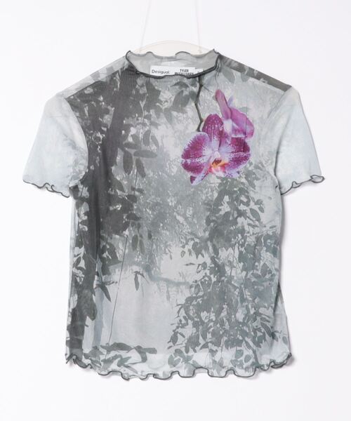 tシャツ 「Desigual x Tyler McGillivary」オーキッドミスト Tシャツ レディース Desigual tシャツ 「Desigual x Tyler McGillivary」オーキッド
