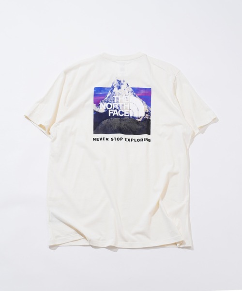 tシャツ Tシャツ メンズ 「 海外流通モデル 」 THE NORTH FACE / ノースフェイス S/S BOX NSE TEE 半袖 Tシャツ｜zozo｜14