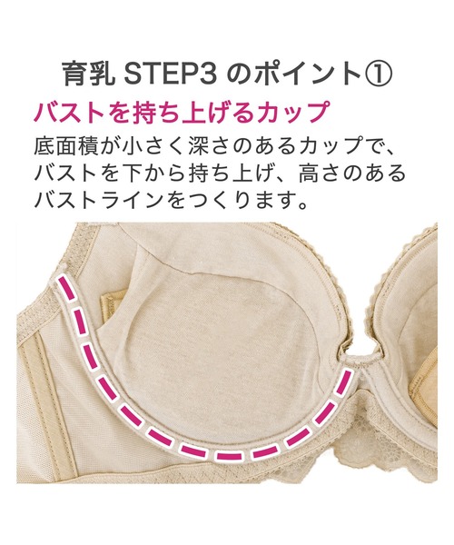 ブラデリス　ジャクリーン　ブラ/ショーツセット D75/M 楽天市場】【30%OFF】育乳 ブラデリスニューヨーク ブラデリス