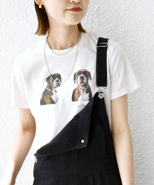 tシャツ 「SHIPS別注」ACASAM: フォト TEE レディース SHIPS tシャツ 「SHIPS別注」ACASAM: フォト TEE レディース