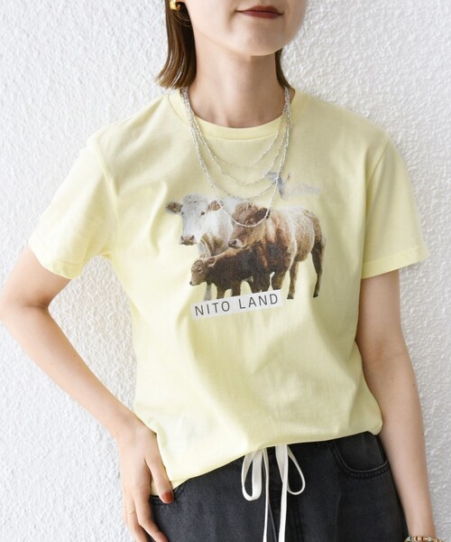 tシャツ 「SHIPS別注」ACASAM: フォト TEE レディース