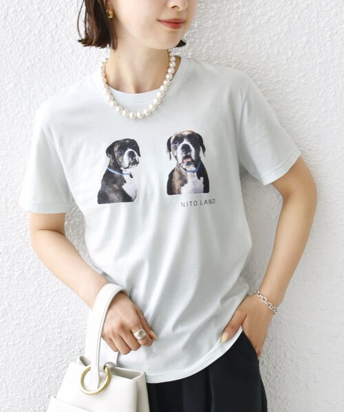 tシャツ 「SHIPS別注」ACASAM: フォト TEE レディース SHIPS tシャツ 「SHIPS別注」ACASAM: フォト TEE レディース
