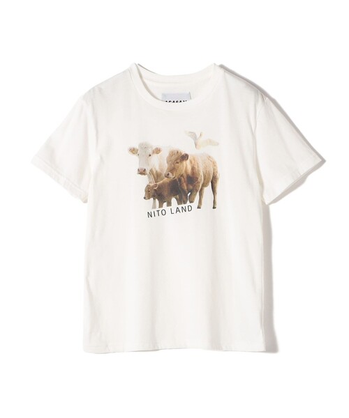 tシャツ 「SHIPS別注」ACASAM: フォト TEE レディース SHIPS tシャツ 「SHIPS別注」ACASAM: フォト TEE レディース