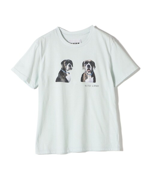tシャツ 「SHIPS別注」ACASAM: フォト TEE レディース SHIPS tシャツ 「SHIPS別注」ACASAM: フォト TEE レディース