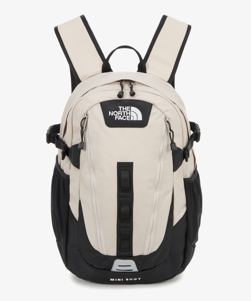 【最終価格】定価10450円 ザノースフェイス　リュック THE NORTH FACE デイバック リュック 国内未発売 FACE(ザ