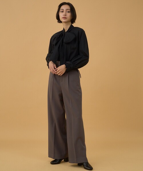 ANAYI（アナイ） 長袖ブラウス 38 ブラック レディース : ZOZOTOWN