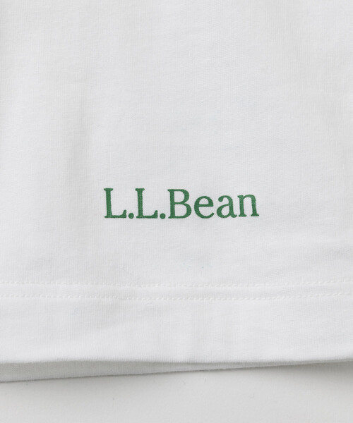 llbean USA製 鯨 Tシャツ エルエルビーン シングルステッチ L.L.Bean USA XL 美品 2枚セット！ 鯨 無地T トップス