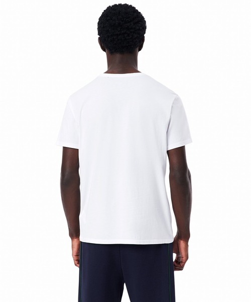 スリムフィットtシャツ（LACOSTE）のおすすめ人気商品一覧 通販