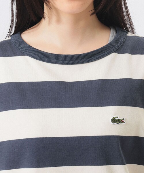 tシャツ 「別注」LACOSTE / ボーダー Tシャツ レディースの画像