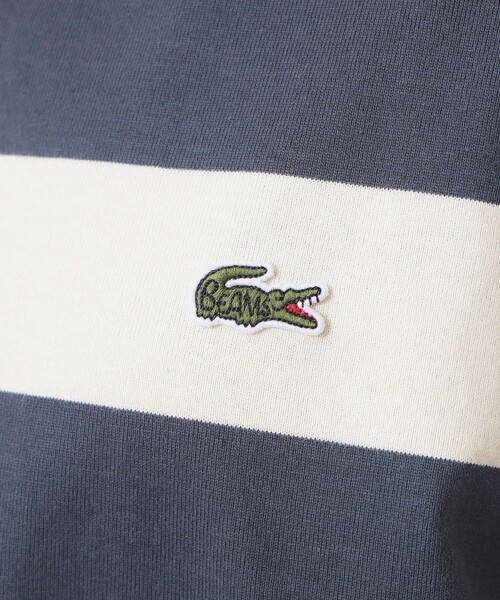 tシャツ 「別注」LACOSTE / ボーダー Tシャツ レディースの画像