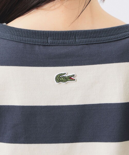 tシャツ 「別注」LACOSTE / ボーダー Tシャツ レディースの画像