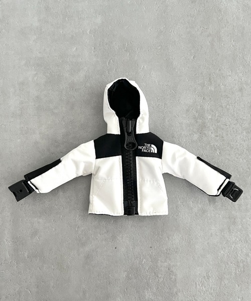 THE NORTH FACE マウンテンジャケット　キーリング　新品未使用　二つ THE NORTH FACE（ザ ノースフェイス） キーホルダー 国内未発売 THE