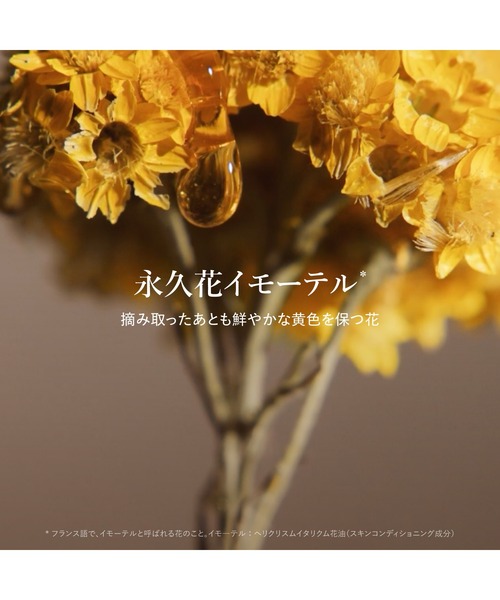 L'OCCITANE（ロクシタン） 美容液 オイル クリーム イモーテル
