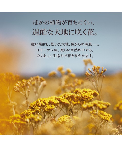 L'OCCITANE（ロクシタン） 美容液 オイル クリーム イモーテル