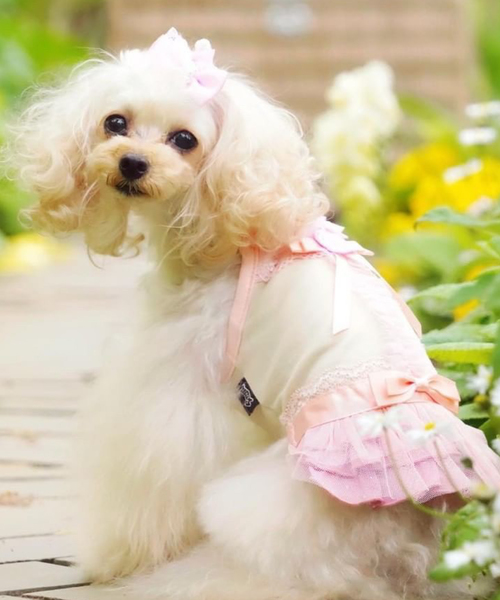 ペット ｌａｍｚｙ ラムジー ラブメリアフリルキャミ 犬服 ドッグウェア Zozotown Paypayモール店 通販 Paypayモール