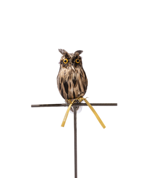 フィギュア ARTIFICIAL BIRDS Owl 109 Brown/S