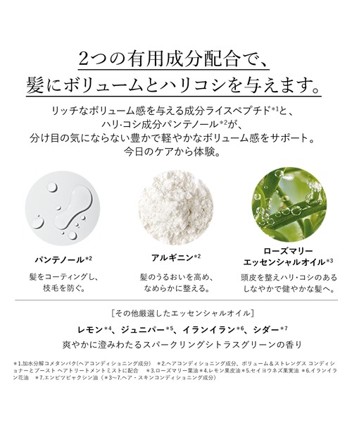 L'OCCITANE（ロクシタン） シャンプー ボリューム＆ストレングス