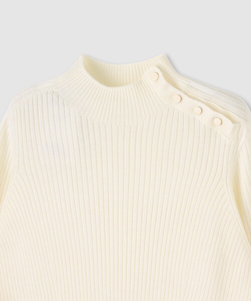 ANAYI（アナイ） ニット セーター メリノワイドリブハイネック プル