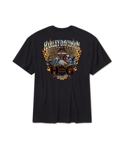 Harley Davidson（ハーレー・ダビッドソン） tシャツ フルスロットル