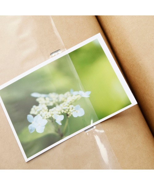 無印良品（MUJI） 文房具 アルバム・3段 L判・300枚用 : ZOZOTOWN
