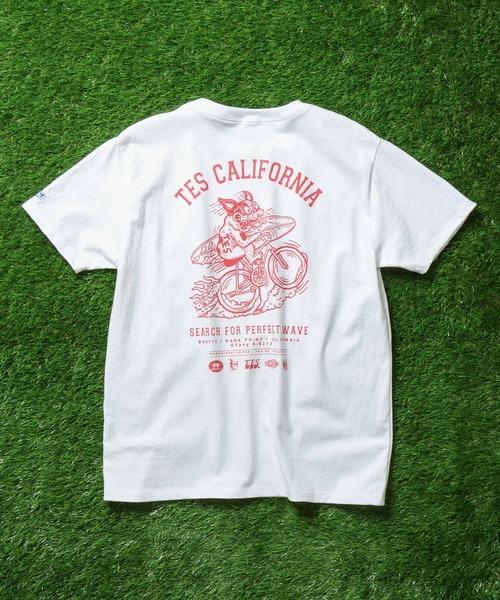 「The Endless Summer」 半袖Tシャツ X-LARGE ブルー メンズ_画像9