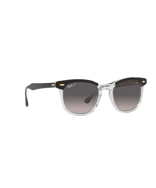 Ray-Ban サングラス レイバン HAWKEYE(偏光レンズ) メンズ