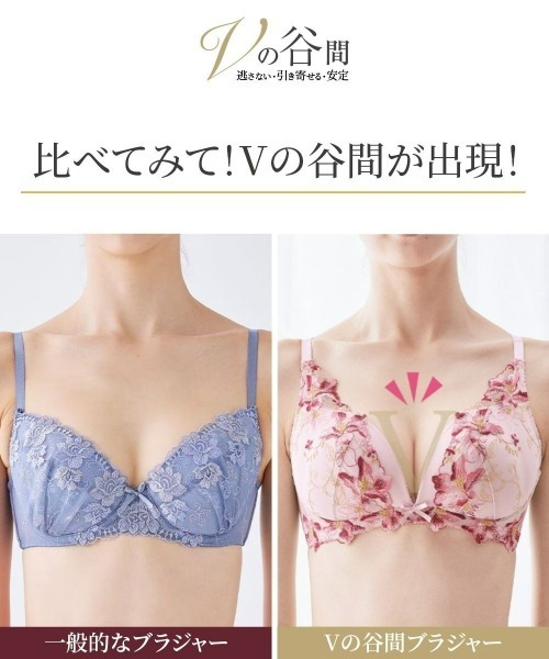 ニッセン（nissen） ブラジャー Vにバストをひき寄せるブラジャー（Vの