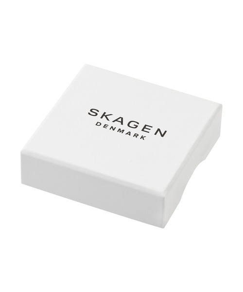 ネックレス スカーゲン アクセサリー レディース ネックレス シルバー SKJ1809040 レディースの画像