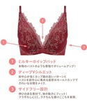 ブラジャー 夢みるブラ DeepV ブラジャー...の詳細画像1