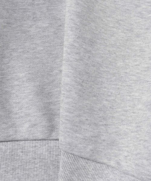 トレーナー スウェット パワショルショートプルオーバー/591794 レディース | JEANASIS | 20
