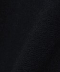 チャンピオン tシャツ 「SHIPS any別...の詳細画像3