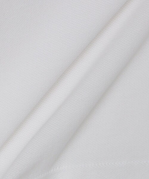 ポロシャツ 【SHIPS別注】LACOSTE: NEW 70s ドロップテイル ポロシャツ ポロシャツ SHIPS別注 LACOSTE NEW 70s ドロップテイル 綿100%，