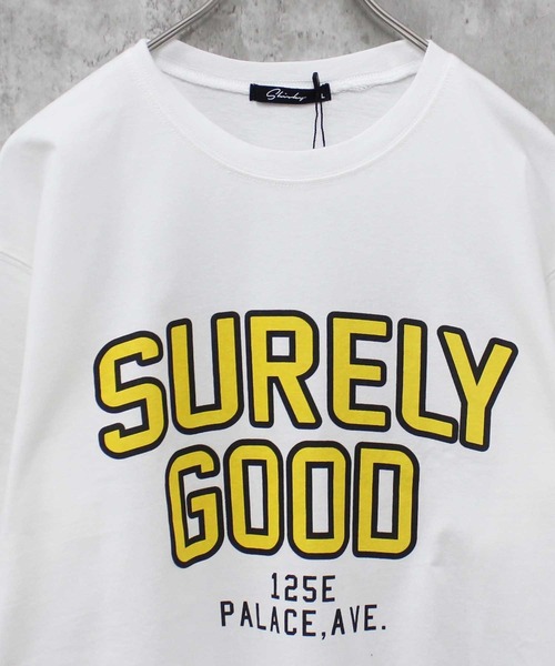 SHISKY tシャツ 選べる16カラー 半袖プリントT メンズ