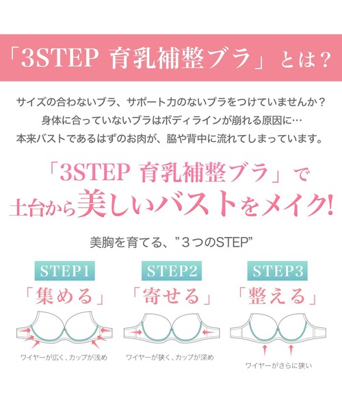 ブラジャー ウェンディステップ1ブラ24A2 ブラデリス 育乳補整 補正下着 | BRADELIS NewYork | 07
