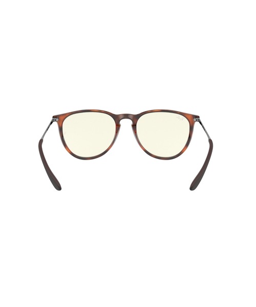 ERIKA CLASSIC EXCLUSIVE Sunglasses in Transparent and Blue
