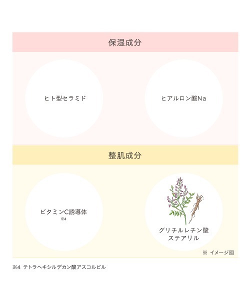 ETVOS（エトヴォス） コンシーラー ミネラルインナートリートメント