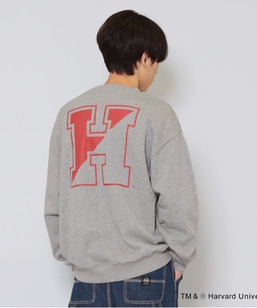 GLAZOS（グラソス） トレーナー 「大人向けサイズあり」「HARVARD