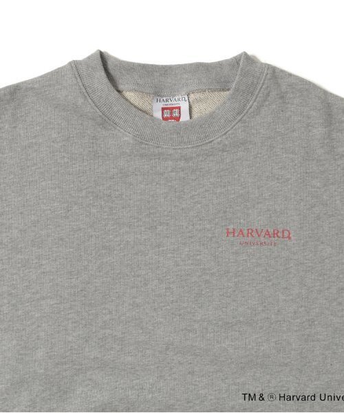 GLAZOS（グラソス） トレーナー 「大人向けサイズあり」「HARVARD