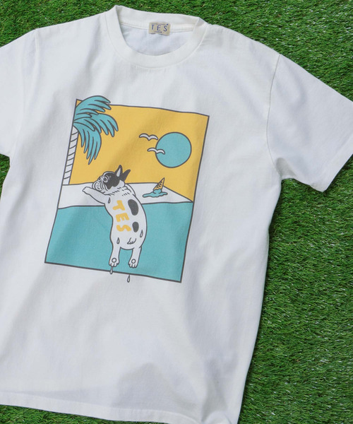 「The Endless Summer」 半袖Tシャツ X-LARGE ホワイト メンズ_画像2