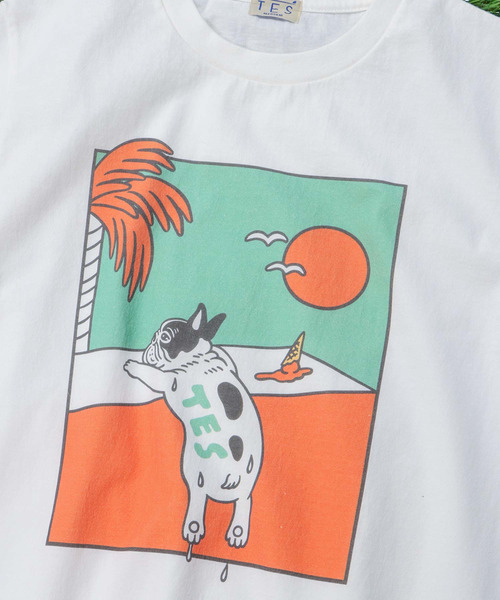 「The Endless Summer」 半袖Tシャツ X-LARGE ホワイト メンズ_画像5