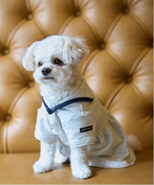 ハンドメイド犬服花柄接結ニットのヒラヒラお袖キャミワンピ