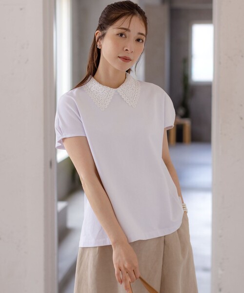 tシャツ レース襟フレンチテリー カットソー レディース
